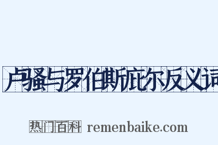 卢骚与罗伯斯庇尔反义词是什么意思的图片